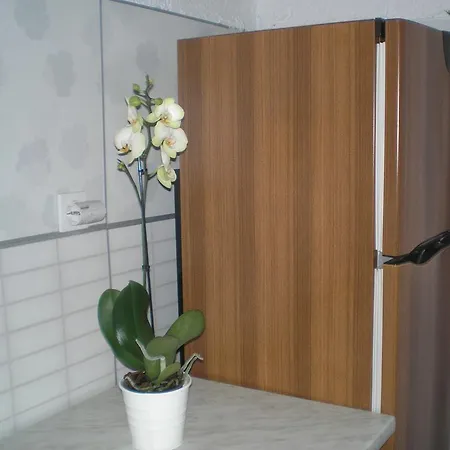 Agroturizam Toni Apartment Motovun Exterior photo