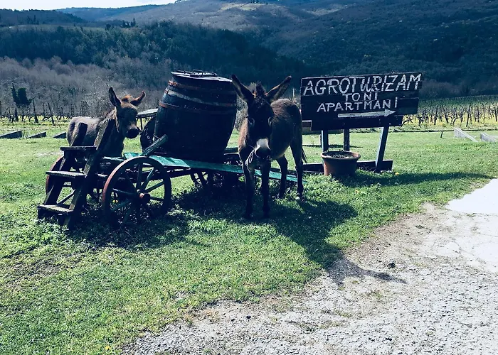 Agroturizam Toni