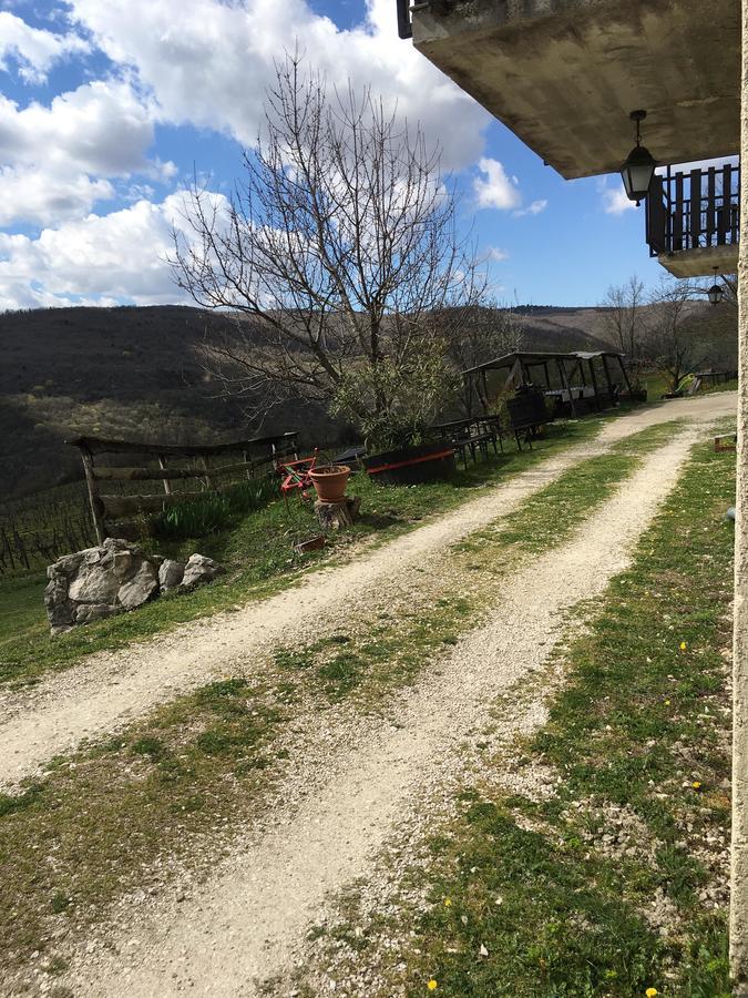 Agroturizam Toni Motovun